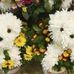 Ida Mathis - Facebook
