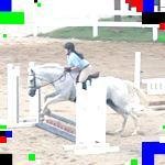 🐴Ella Fusco🐴 - @idamcgeeugego - Instagram