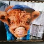 Ida McGee - @ida.mcgee.10 - Instagram