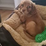 Aidan Meadows - @meadows.aidan - Instagram