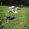 Ida Belle Meadows Homestead - @idebellemeadows - TikTok