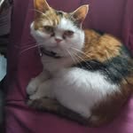 Janet Stanners - @meadowsida40 - Instagram