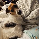 Ida Messerman - @jrt_friends_3 - Instagram