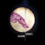 minor james ida - @minor_james_ida - Instagram