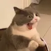 Ida mora - @fy.pq - TikTok