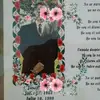 Ida Morales - @idamorales23 - TikTok