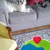 Ida Morales - @ida.morales53 - TikTok