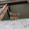 idamora_s - @idamora_s - TikTok