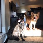 Kinsley Morrow - @kinsley_ida_morrow - Instagram