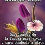 Ida Ortiz - @idaortiz442 - Instagram