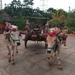 Satish Idara - @idarasatish - Instagram