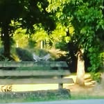Ida Simon - @ida.simon.52 - Instagram