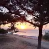 idasimon59 - @idasimon59 - TikTok