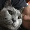 idellaspaulding - @idellaspaulding - TikTok
