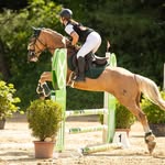 Ida&Tango💓 - @palomino_tango - Instagram