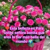 IdaHTello - @marleny.huayra3 - TikTok