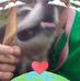Turtle Half Pint Slider - Facebook