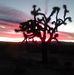 Ida Varner - Facebook
