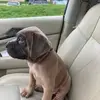 ida walker - @ida.walker1 - TikTok