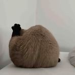 Ida Wang - Facebook