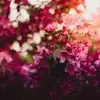 idawest977 - @idawest977 - TikTok