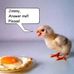 Ida Workman - Facebook