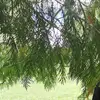 idayoderan - @idayoderan - TikTok
