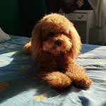 Ida zangaro - @zangaroida82 - Instagram