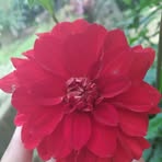 Idali Rodríguez - Facebook