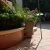 Idalia Jimenez - @idalia.jimenez2 - TikTok
