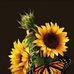 Idalia Miranda - Facebook