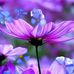 Idalia Payan - Facebook