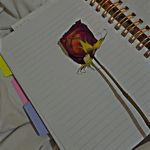 𝑰𝒅𝒂𝒍𝒊𝒂 𝑺𝒖𝒂𝒓𝒆𝒛✿ - @idaliasuarez9 - Instagram
