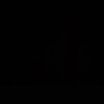 Idil Ali Moha - @idilalimohamud - Instagram