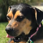 Shy Shiloh - @i.dont.use.this.anymore.shiloh - Instagram