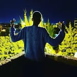 IDRIS KING👑 - @_idris_king - Instagram