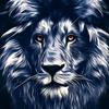 idrisking714@gmail.com - @_idris_king - TikTok