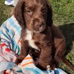 Idris Pugh - Facebook