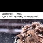 ИДРИС РАСУЛОВ - @idris._rasulov.01 - Instagram