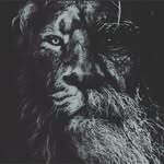 Idris Rasulov - @idris_.rasulov - Instagram