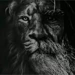 IDRIS rasulov - @idris_rasulov_0001 - Instagram
