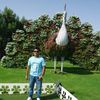 Idris Ryan - @2145147383 - TikTok