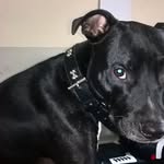 Thomas Idris Smalley - @smalleythomasidris - Instagram