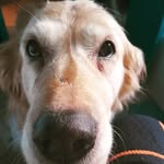 Colin Idris Williams - @williams.colinidris - Instagram