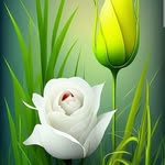 Vahora Idrish - @idrishvahora56 - Instagram