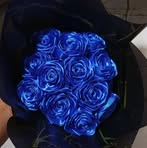 Ishu Flowers - Facebook