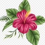 Yesha Flower's - Facebook