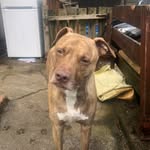 Iestyn Roberts - @iestynroberts05 - Instagram