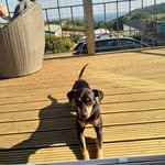 Iestyn Williams - @iestynw - Instagram