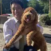 Yifan Chen - @yifan.chen5 - TikTok